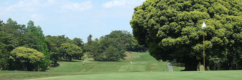 茨城県のゴルフ場　桜ゴルフ倶楽部オフィシャルサイト